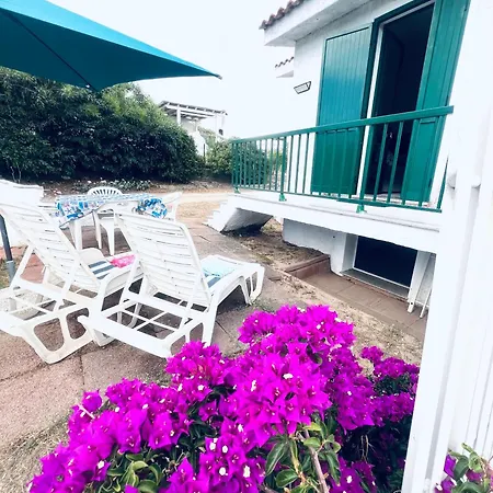 Magnolie Mare 100 Meters From The *