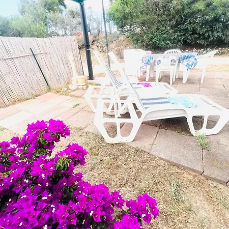 Magnolie Mare 100 Meters From The