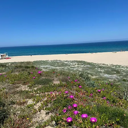 Magnolie Mare 100 Meters From The *