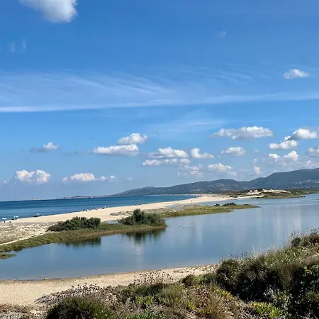 Apartamento Magnolie Mare 100 Meters From The *