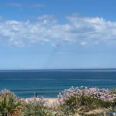 公寓 Magnolie Mare 100 Meters From The
